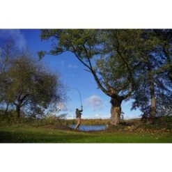 Shimano Carp Tribal TX Ultra A 12ft 3.50LB Intensity -Angelausrüstungsgeschäft DSC03670 550x550w 1