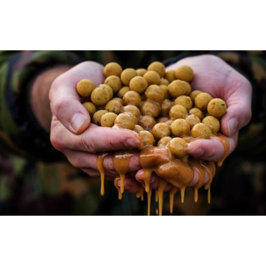 CC Moore Live System Shelf Life Boilies 24mm 8 CC Moore Live System Shelf Life Boilies 24mm – Bild 6